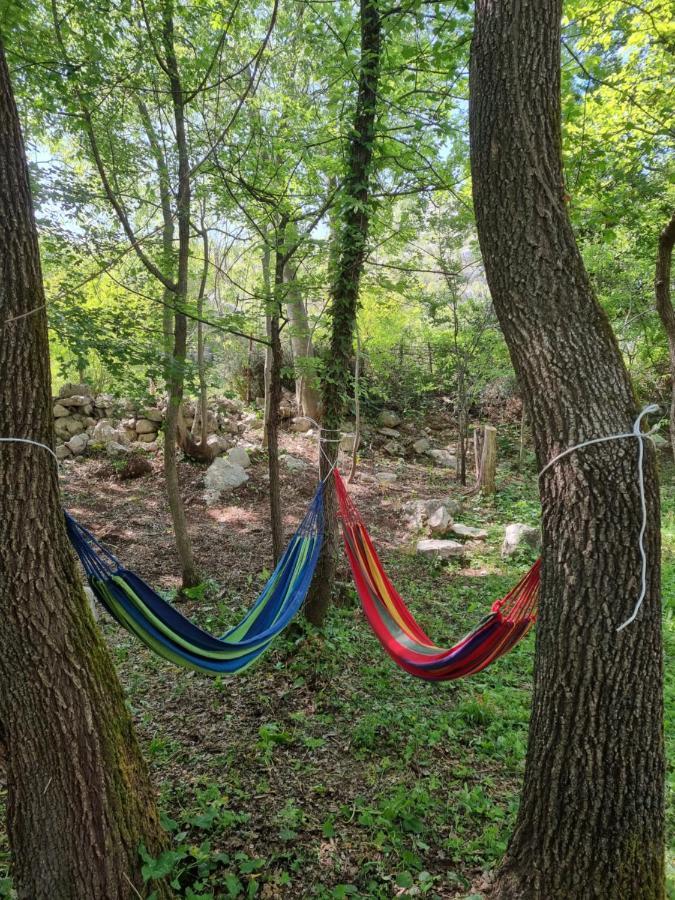 Wolf & Sheep Nature & Adventure Podgoriçe Dış mekan fotoğraf