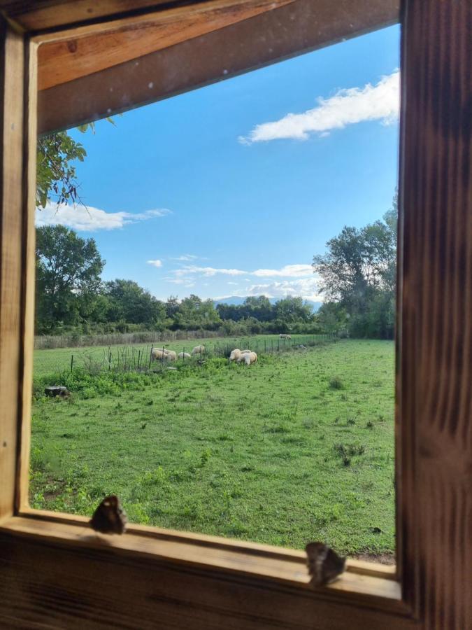 Wolf & Sheep Nature & Adventure Podgoriçe Dış mekan fotoğraf