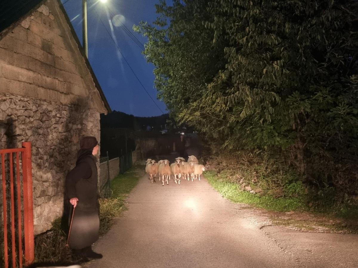 Wolf & Sheep Nature & Adventure Podgoriçe Dış mekan fotoğraf