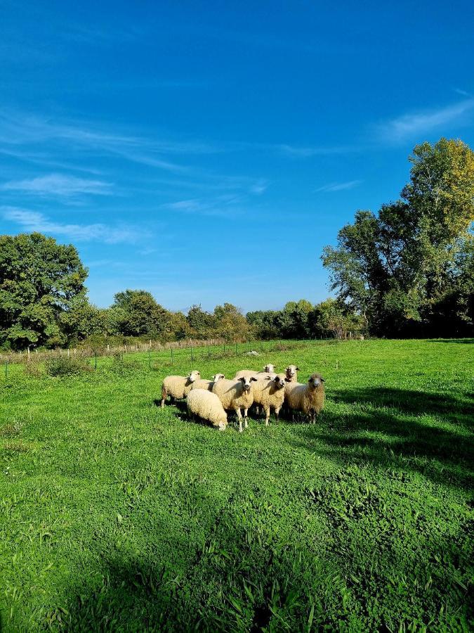 Wolf & Sheep Nature & Adventure Podgoriçe Dış mekan fotoğraf